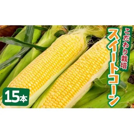 【先行予約2027年1月-5月配送】1番遅くて1番早い⁉ 朝採れプレミアムスイートコーンを皮付きのまま15本お届け！！