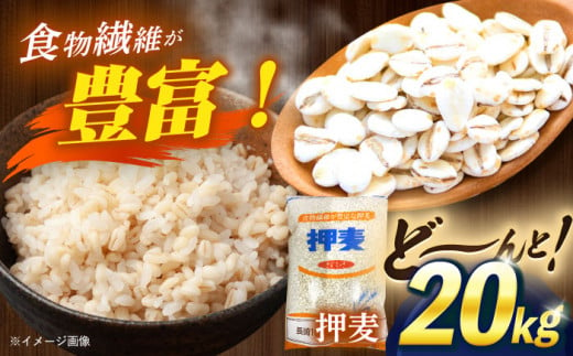 【最速発送】押麦「長崎100年麦 御島裸」1kg×20袋 計20kg / 押麦 押し麦 はだか麦 麦ごはん 雑穀 雑穀米 / 諫早市 / 有限会社伊東精麦 [AHBU003] スピード 最短 最速 発送