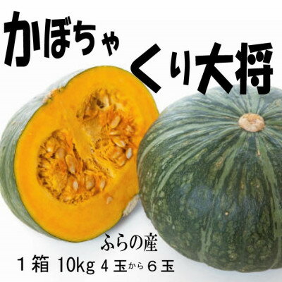 【ふるさと納税】【2025年発送先行予約】【数量・期間】ふらの産　かぼちゃ　1箱10kg(くり大将南瓜)　【1473419】
