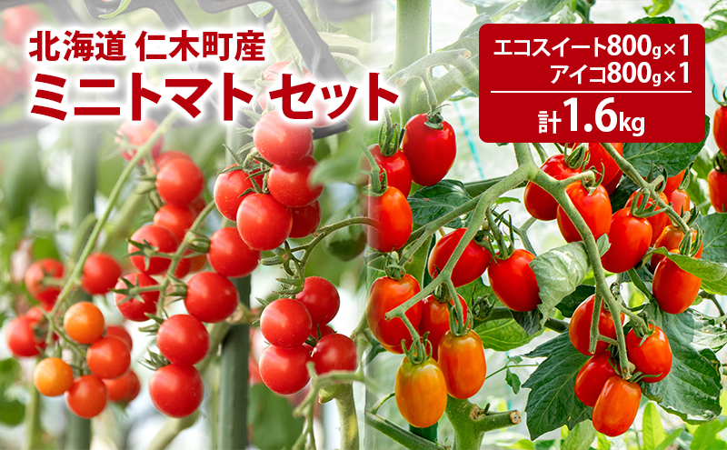 北海道 仁木町産 ミニトマト エコスイート800g・アイコ800g セット [林果樹園]【トマト ミニトマト エコスイート アイコ 高糖度 フルーツトマト 赤 サラダ パスタ スープ 常備菜 産地直送 旬 健康】