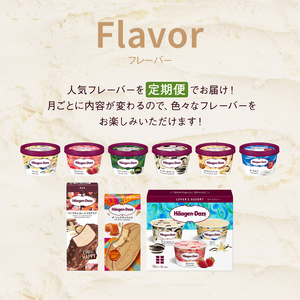 ＜全4回・隔月＞お試し定期便！ハーゲンダッツ人気 セット アイス スイーツ デザート_H0016-179