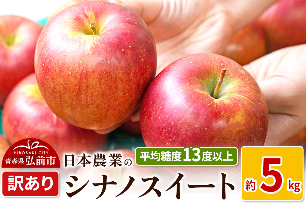 りんご 【先行受付】平均糖度13度以上！ シナノスイート 約5kg 訳あり