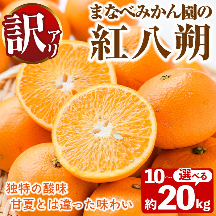 【ふるさと納税】＜先行予約受付中！2027年2月上旬以降順次発送予定＞＜内容量が選べる！＞訳あり！まなべみかん園の紅八朔(約10～20kg) 国産 鹿児島県産 阿久根市産 柑橘類 果物 デザート フルーツ 数量限定 期間限定 ご自宅用 ご家庭用 【有限会社まなべみかん園】