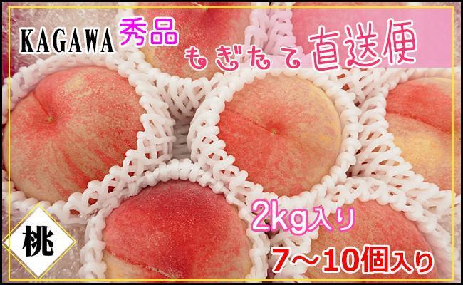 ＜滴る果汁とあふれる果肉が自慢のもも＞中玉の桃2kgセット【先行予約・2026年6月下旬より順次発送】秀品（約7～10個入り）
