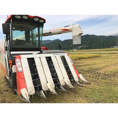 ふるさと納税 若狭町 【令和7年産】福井県若狭町コシヒカリ(1等米)　10kg(5kg×2袋) |  | 02