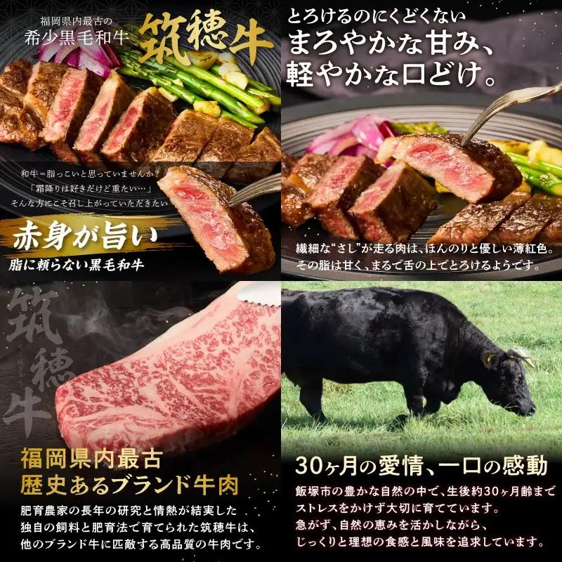 森本牧場産 本格黒毛和牛 筑穂牛 サーロインステーキ 250g×2枚【E-099】