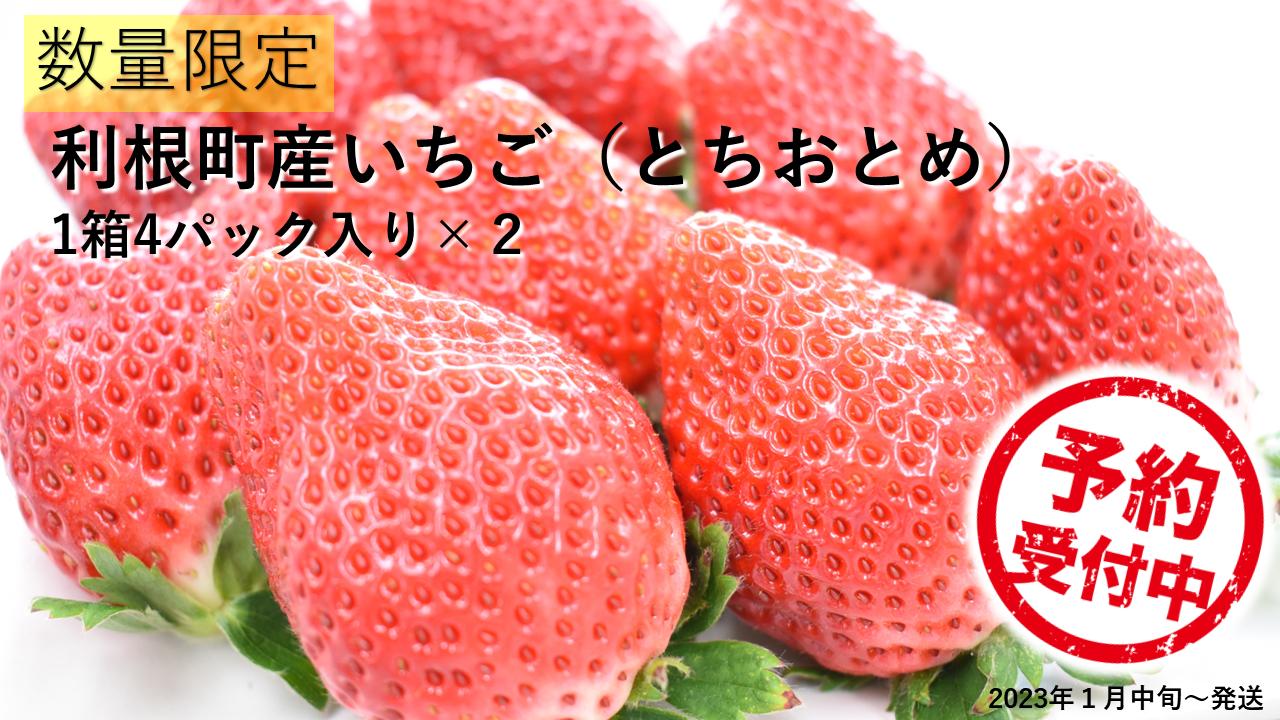 
            【先行予約／数量限定】農家直送　鮮度抜群の完熟苺　いちご（とちおとめ）8パック（4パック入り2箱）
          