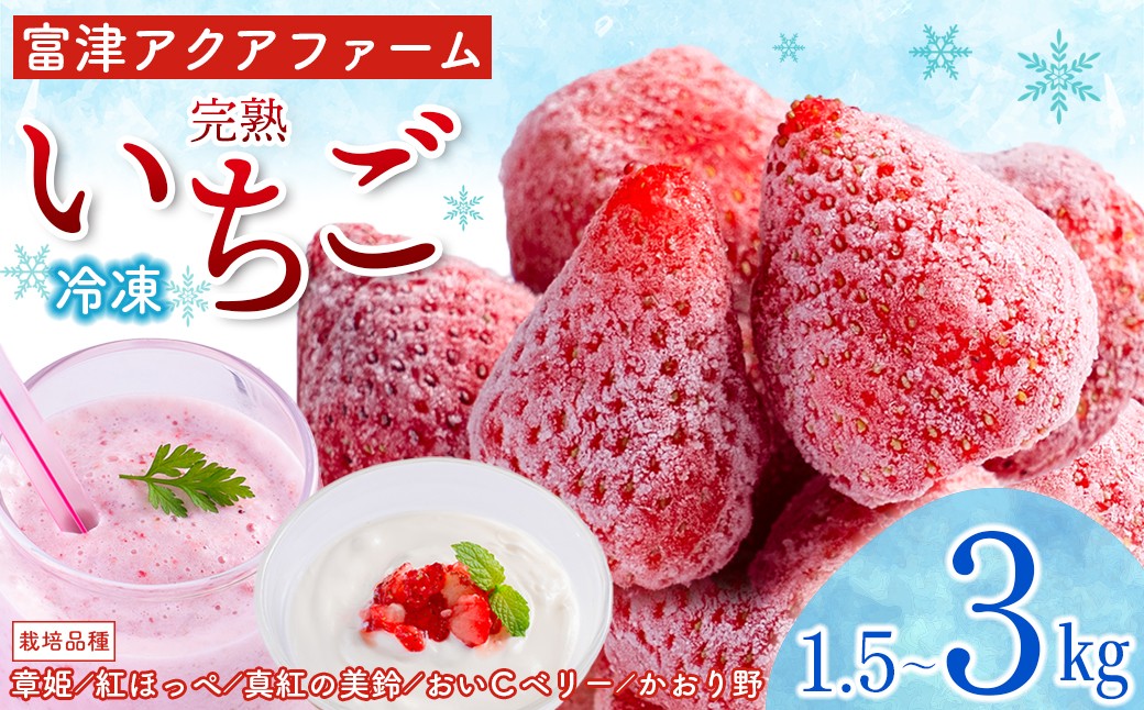 
                  富津アクアファーム　冷凍完熟いちご 1.5kg 3kg 【内容量が選べます】　いちご フルーツ 果物 完熟 ストロベリー ベリー 冷凍 アクアファーム おすすめ 数量限定 章姫 紅ほっぺ 真紅の美鈴 おいCベリー かおり野 ヨーグルト スムージー ジャム お菓子 おやつ 氷いちご 房総 千葉県 富津市
                