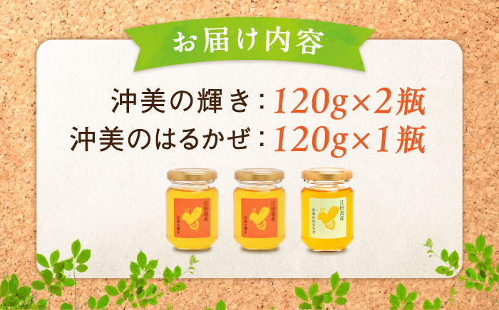 【全3回定期便】まじりっけなし！江田島産100％!はちみつ2種食べ比べセット（120g×3本） ハチミツ ハニー 蜂蜜 国産 広島県 江田島市/はつはな果蜂園 [XCD027]