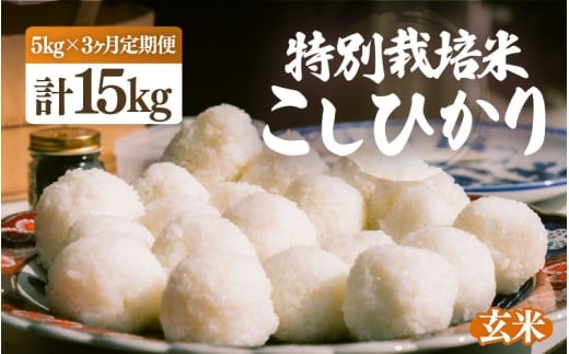 【ふるさと納税】【先行予約】【令和7年産・新米】定期便 ≪3ヶ月連続お届け≫ 特別栽培米 こしひかり 5kg × 3回（合計15kg）【玄米】【10月中旬前後より順次発送予定】【こめ コシヒカリ 人気品種 ブランド米 5キロ 白米 精米 玄米 おにぎり うまい 福井県ブランド米  福井県産 農薬 50％減】 [e26-d001_02]