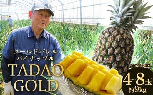 TADAO GOLD　4～8玉　約9kg（多冠芽含む）【ゴールドバレル】2026年発送 ゴールドバレル パインアップル タダオゴールド たまき ただお 逸品 パイン職人 最高級 国産パイン パイナップル パイン 匠 高級フルーツ 南国フルーツ 特別 希少 玉城忠男 農家直送 沖縄 東村