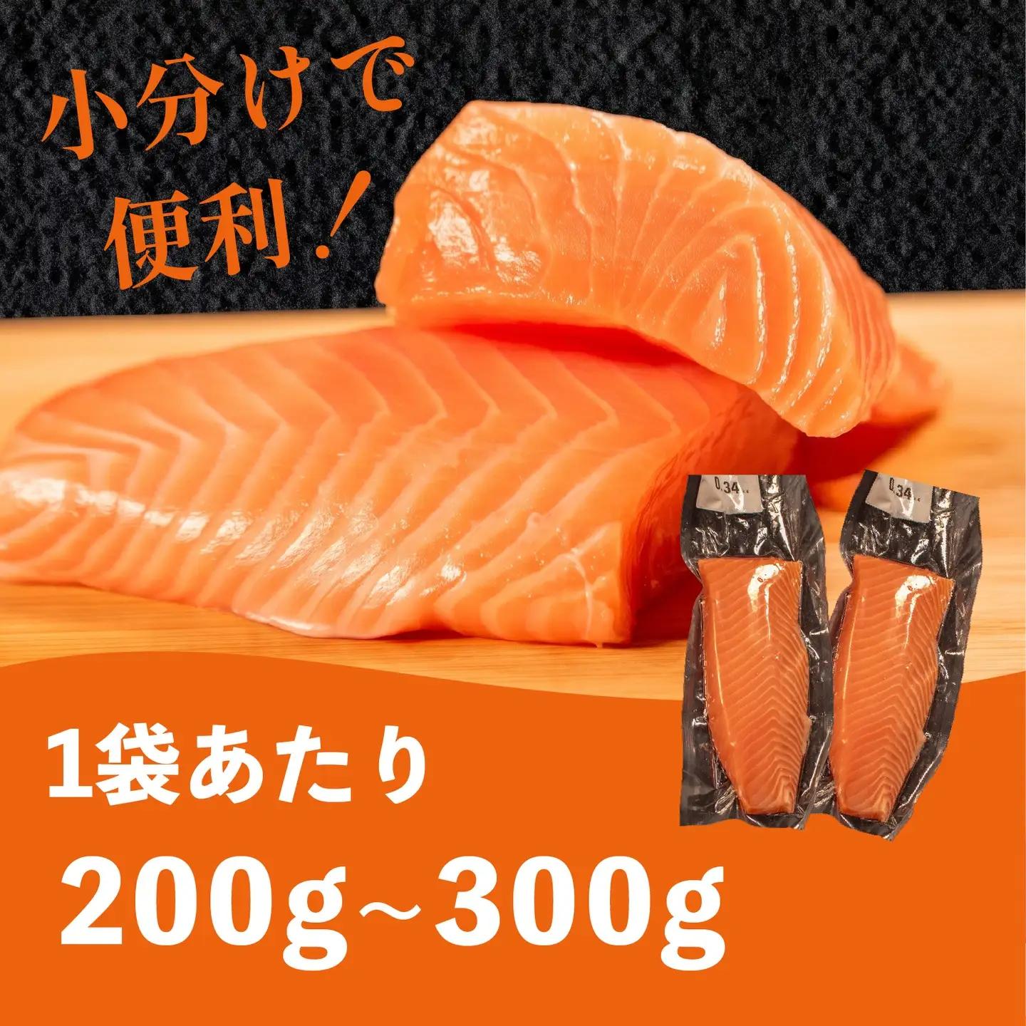 【 濃厚な旨味 】サーモン 450g-480g サーモン