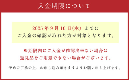 敬老の日 フラワーアレンジメント【2025年9月14日にお届け】｜ 花 お花 生花 フラワーアレンジメント フラワーギフト 飾り お祝い お礼 ギフト プレゼント 贈り物 贈答用 大阪府 阪南市