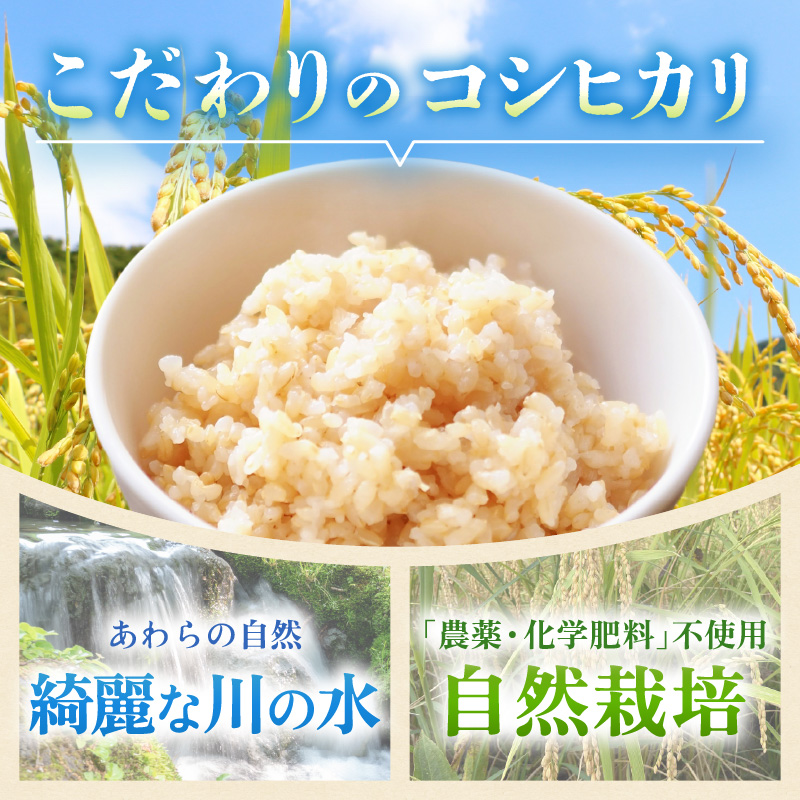【先行予約】【令和8年産】【定期便】≪6ヶ月連続お届け≫ コシヒカリ 玄米 5kg×6回 （計30kg）化学肥料 農薬不使用 自然栽培米 / 北陸 福井県産 あわら市 ブランド米 玄米 お米 コメ ※