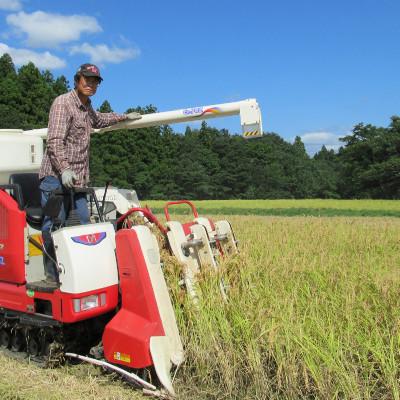 ふるさと納税 上越市 標高200mで育てた棚田米|令和7年産・新潟県上越産・従来種コシヒカリ精米10kg(5kg×2袋) |  | 02