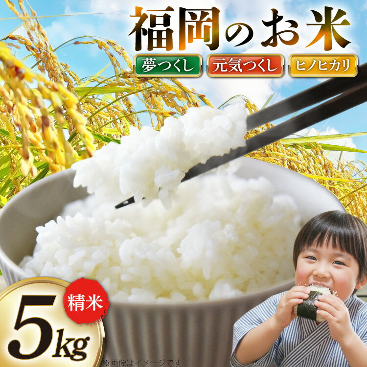 【ふるさと納税】 米 令和7年 福岡のお米 精米 5kg 夢つくし 元気つくし ヒノヒカリ [石貫米穀店 福岡県 宇美町 um40azo910000] 令和7年産 お米 ご飯 コメ ごはん