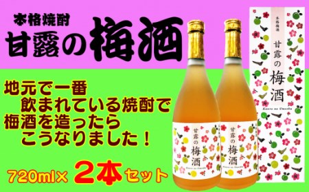 髙﨑酒造 種子島 焼酎 甘露 の 梅酒 720ml ×2本　NFN158【400pt】