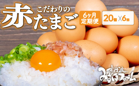 【卵 定期便6か月】京丹波こだわりたまご「赤たまご」20個×6回