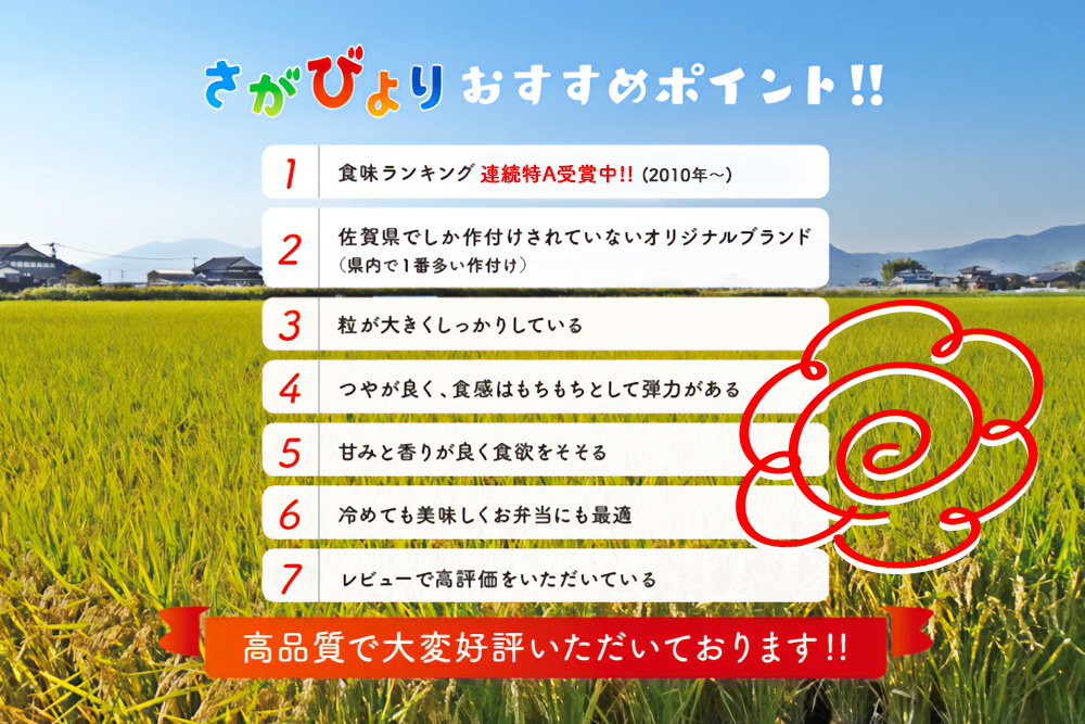【令和7年産 新米】ごはんソムリエが厳選 無洗米 さがびより 5kg【神埼市産 米 お米 無洗米 精米 白米 5kg さがびより ブランド米 食味鑑定士】(H063146)
