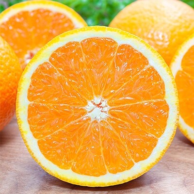 【まるで食べるジュース!越冬完熟品】愛媛産 清見オレンジ 10kg【G20−41】【1594852】