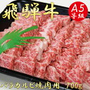 【ふるさと納税】AB-5 A5飛騨牛バラカルビ焼肉用700g