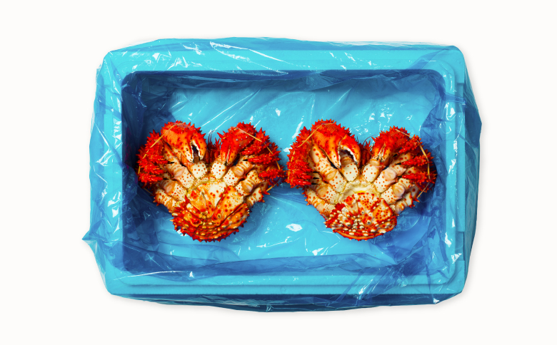 【北海道根室産】花咲かに700g×2尾(計1.4kg) F-20013