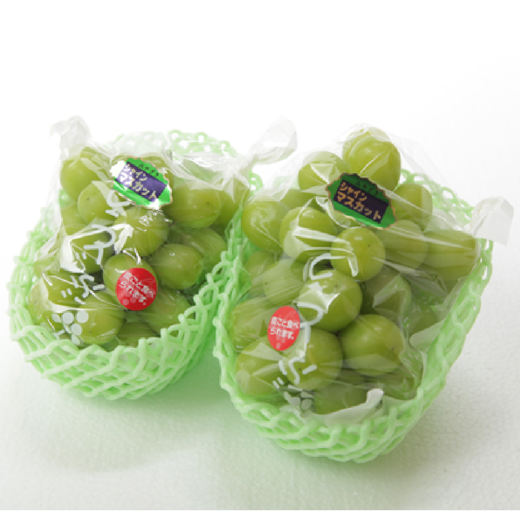 【F115】【数量限定】シャインマスカット 1.2kg 農家直送（ぶどう 葡萄 高級フルーツ 甘い 高糖度 ジューシー みずみずしい 芳醇 数量限定 期間限定 旬の果物 人気返礼品 )_イメージ3