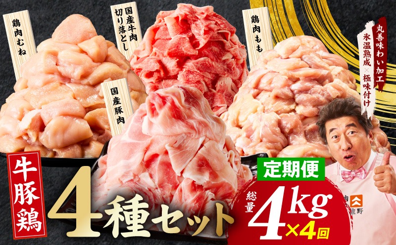 mrzZ089 【定期便】国産 牛豚鶏 4種セット 4kg×4回【氷温熟成×極味付け 牛肉 豚肉 鶏肉 もも むね 食べ比べ 普段使い 味付き 小分け 訳あり サイズ不揃い 毎月配送コース】