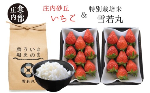 食の都庄内　庄内産いちご180g×2パック＆特別栽培米2kg「雪若丸」セット