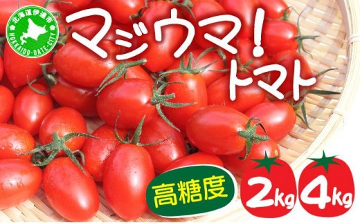 
                  【2026年先行予約】＜選べる容量＞ 伊達 岡本園芸 ミニトマト 高糖度 約2~4kg【マジウマ！トマト】
                