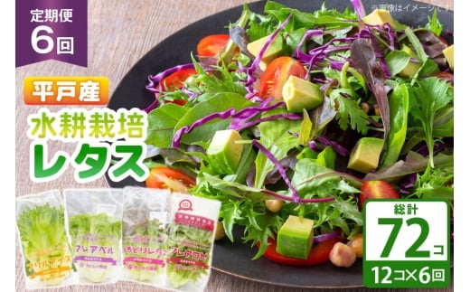 レタス 水耕栽培 4種 12袋 セット 6回 定期便 総計72袋 食べ比べ 詰め合わせ [モロフジファーム 長崎県 平戸市 hr42bgy420230] サラダ 産地直送 個包装 小分け 野菜 フレッシュ 健康志向 緑黄色野菜
