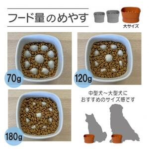 美濃焼　陶器製ペット用フードボウル【早食い防止 高台フードボウル(大/トルコブルー)pet111】【1427444】