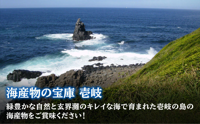 麦焼酎 壱岐焼酎＆海産物のセット 《壱岐市》【天下御免】[JDB005] 12000 12000円