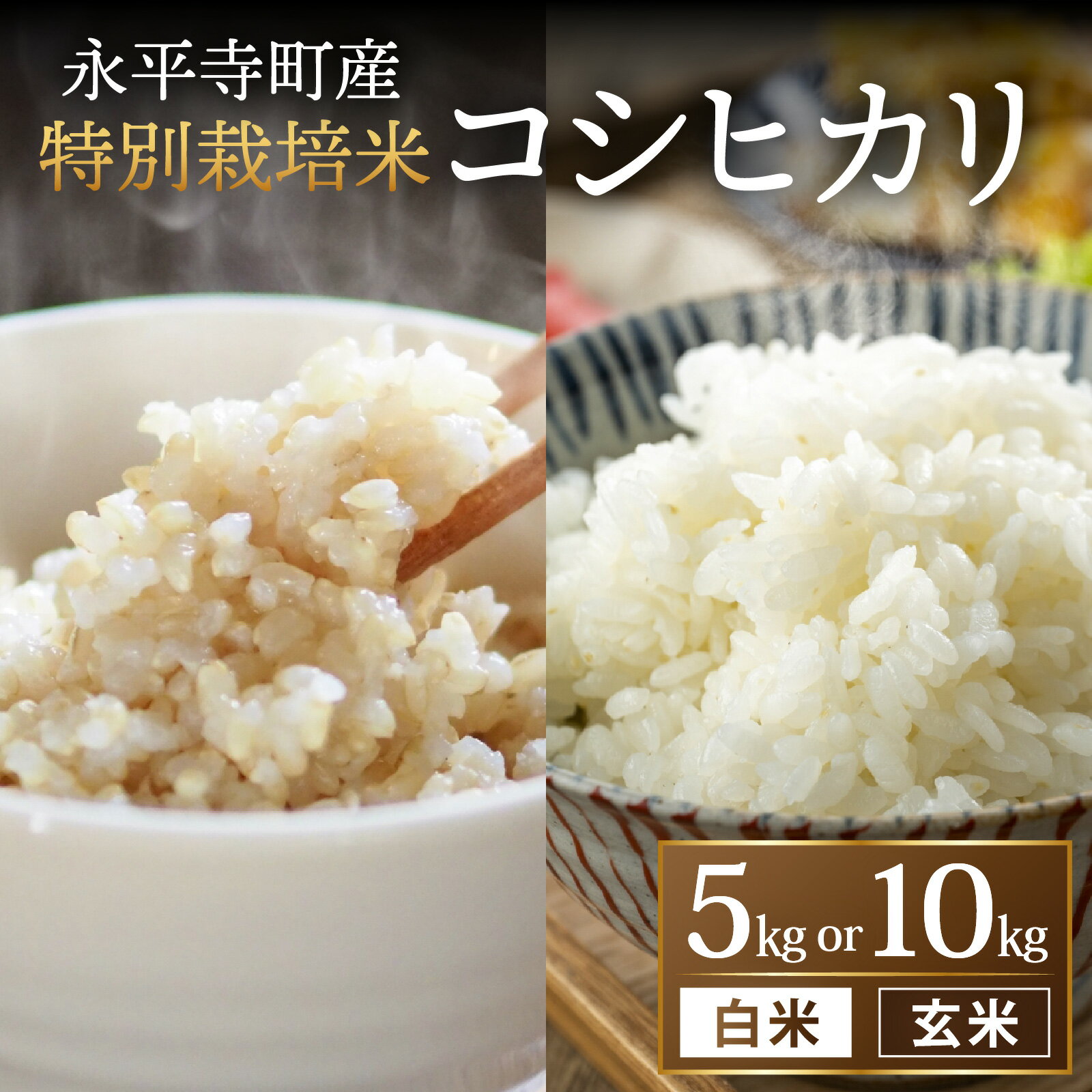 【ふるさと納税】農薬不使用・化学肥料不使用【令和8年度産 新米先行予約】 永平寺町産 特別栽培米 コシヒカリ 【選べる精米歩合・内容量】｜ 農薬：肥料 栽培期間中不使用 無農薬 ご飯 ごはん こめ お試し 白米 玄米 5kg 10kg 1回 単発