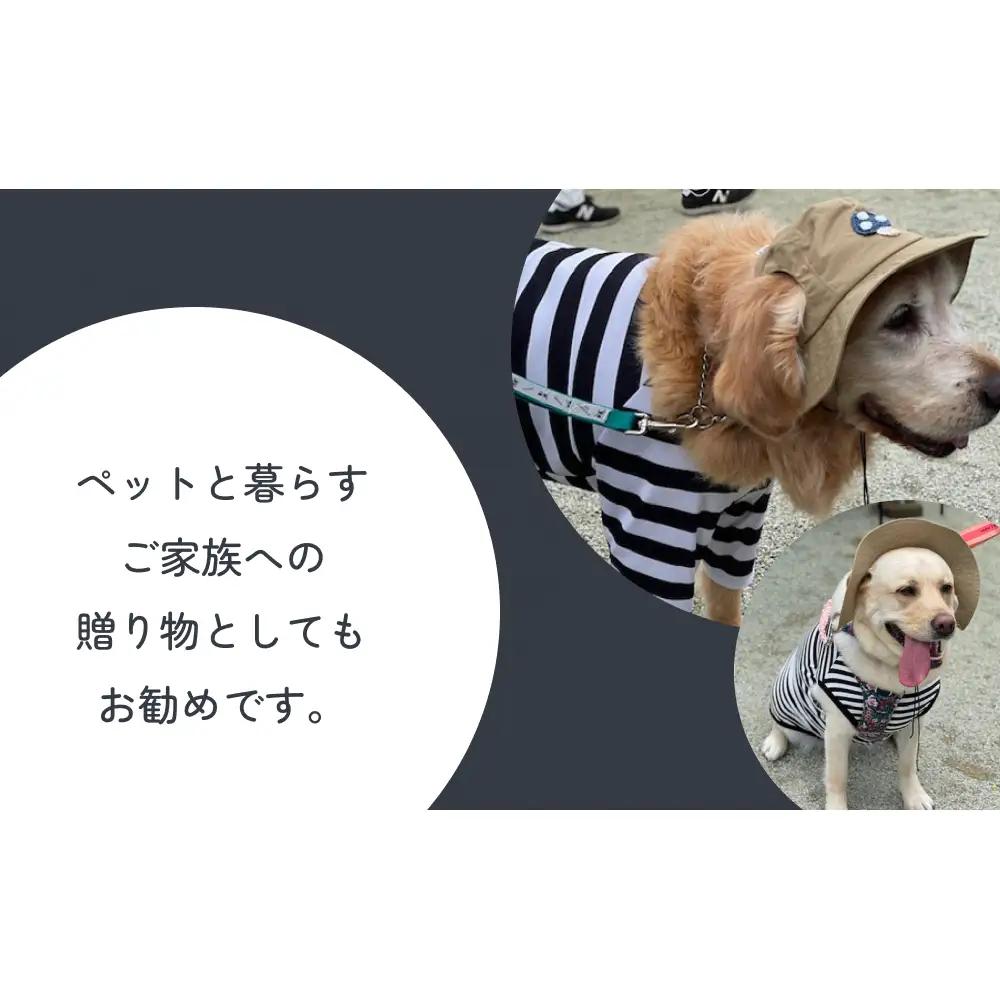 きのこ アウトドアハット　ネイビーXL 犬 ペット グッズ 撥水 帽子 キャップ 男の子 女の子 かわいい