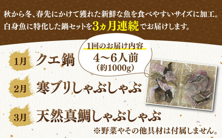 【全3回定期便】《1・2・3月お届け》 うまか鍋セット 4～6人前（切身約1000g） 《壱岐市》【魚助】 鍋 くえ クエ ブリ ぶり 鰤 鯛 たい タイ クエ鍋  [JFX004] 300000 3