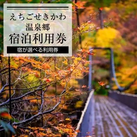 選ばれる温泉体験 3,000円分の温泉宿泊利用券【1278597】