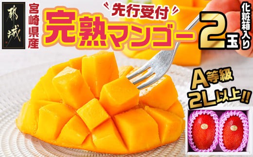 
                  【先行受付!】宮崎県産完熟マンゴー(A等級) 【2L以上×2玉】≪2027年5月中旬以降順次お届け≫〔01-057-2L〕_(都城市) 宮崎県産 完熟マンゴー 化粧箱入り 2Lサイズ 糖度13度以上 A等級品 南国宮崎
                