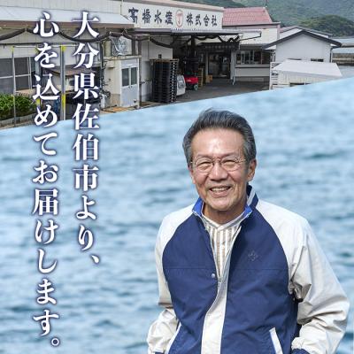 ふるさと納税 佐伯市 ＜お試し用＞赤しそ寿司 (4〜5貫入り×2セット) |  | 03