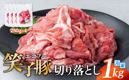 豚肉 切り落とし 小分け 1kg (250g×4) 真空パック 細切れ 豚こま肉 冷凍 笑子豚  お試し 便利 岩手県 金ケ崎町