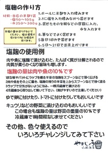 【無添加 生米麹】肥料不使用の自然栽培米のみで作った米麹300g×10袋 H140-024