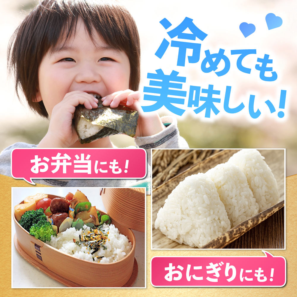 【令和7年産】特A獲得！さがびより白米3kg 吉野ヶ里町/大塚米穀店 [FCW001]