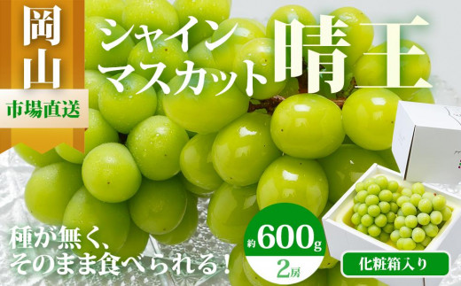 
                  ぶどう 2026年  シャイン マスカット 晴王 2房（1房 600g以上）化粧箱入り マスカット ブドウ 葡萄  岡山県産 国産 フルーツ 果物 ギフト
                