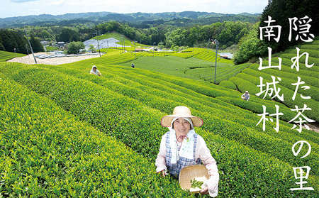 【宇治抹茶スイーツ】抹茶の味がしっかりと味わえる　むらちゃアイス抹茶12個セット お菓子 京都 