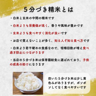 ふるさと納税 盛岡市 ◇新鮮!発送当日精米◇盛岡市産ひとめぼれ【5分づき精米・ビタミン強化米入り】5kg 令和7年産 |  | 01