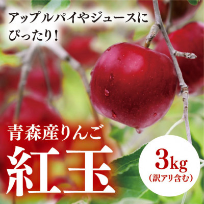 
＜青森産りんご＞紅玉　約3kg(訳アリ含む)【1357285】
