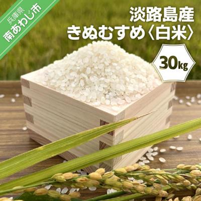 ふるさと納税 南あわじ市 淡路島産きぬむすめ　白米30kg