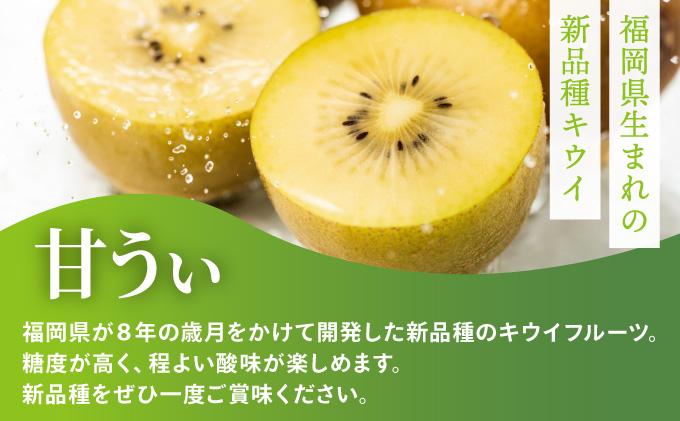 【先行予約】希少 キウイ 甘うぃ 約3kg（2026年11月以降発送）|果物 旬 国産 産地直送 キウイキウイ キウイフルーツ キウィフルーツ 甘うぃ 送料無料 那珂川市 福岡県