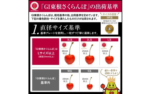 【2027年産】 GI 東根さくらんぼ 佐藤錦 秀品 400g(200g×2P) Lサイズ以上 山形県 東根市 ベジフルひがしね hi104-023-r9 フルーツ 果物 くだもの さくらんぼ サクラ