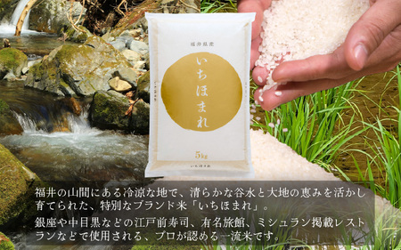 【先行予約】定期便 ≪6ヶ月連続お届け≫ 令和7年産 新米 いちほまれ 白米 10kg (5kg×2袋)【2025年11月上旬以降順次発送予定】精米 福井県 美浜町産  こめ コメ お米 おこめ 5キ